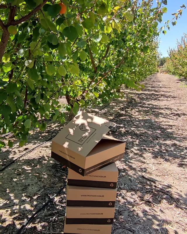 venta online disfruta de cieza (1)