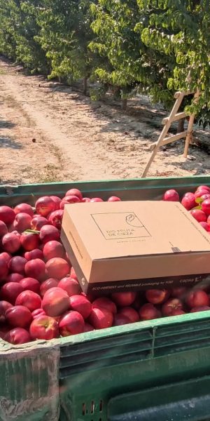 venta online disfruta de cieza (2)